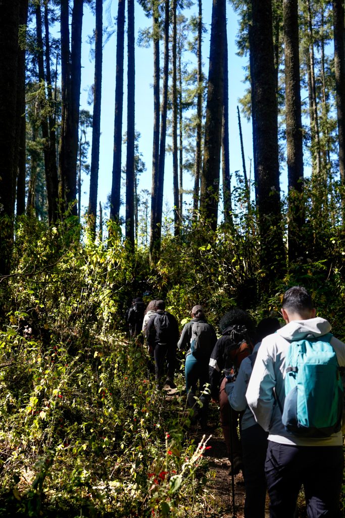 Nevado-Valle (11 de 53) Experiencias de ecoturismo en el Nevado Valle