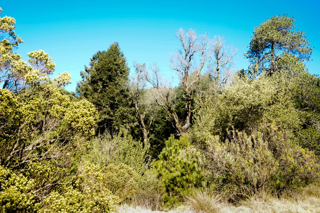 Nevado-Valle (13 de 53) Rutas de montaña en el Nevado México