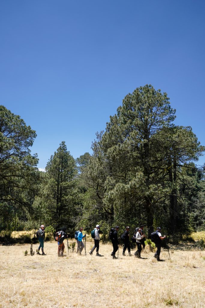 Viajes de naturaleza en el Valle del Nevado Viajes de naturaleza en el Valle del Nevado
