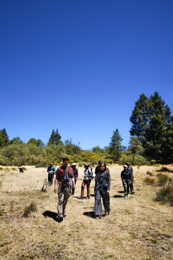 Paisajes naturales del Nevado Valle Paisajes naturales del Nevado Valle