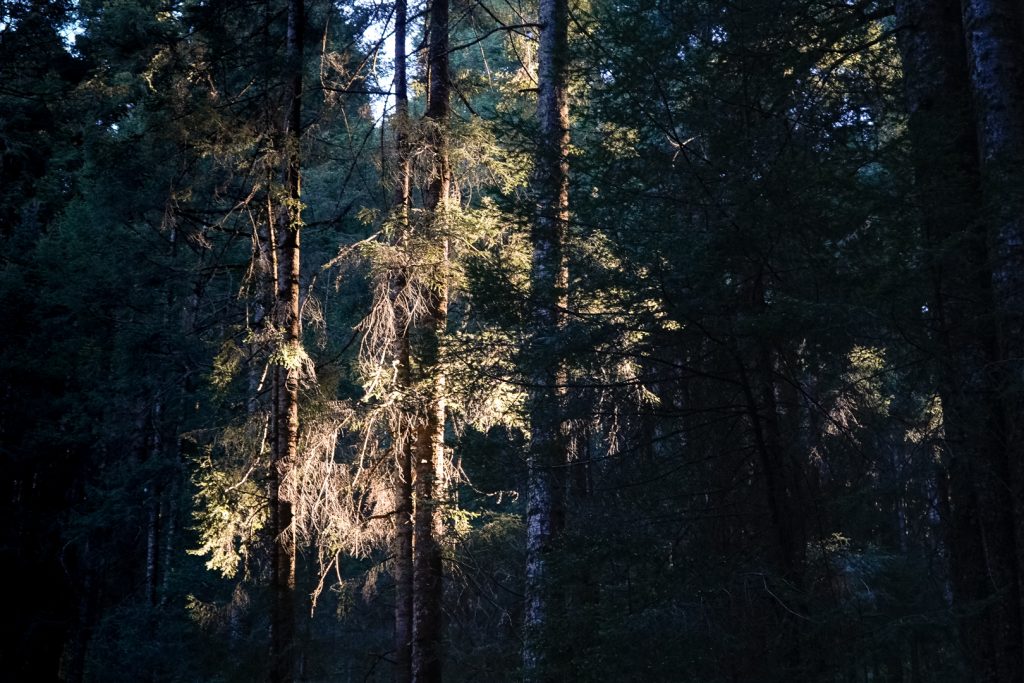 Nevado-Valle (2 de 53) Tour ecológico en el Nevado Valle