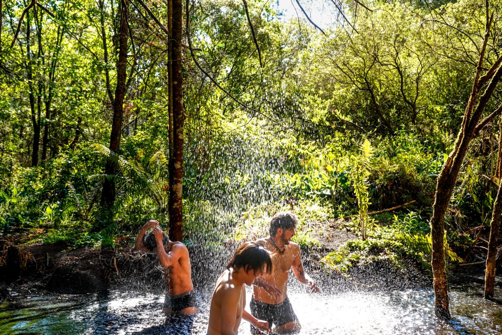 “Vista panorámica del Nevado Valle México durante un tour ecológico” “Vista panorámica del Nevado Valle México durante un tour ecológico”