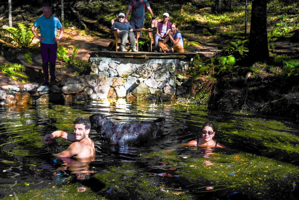 “Senderismo y naturaleza en el Nevado Valle” “Senderismo y naturaleza en el Nevado Valle”