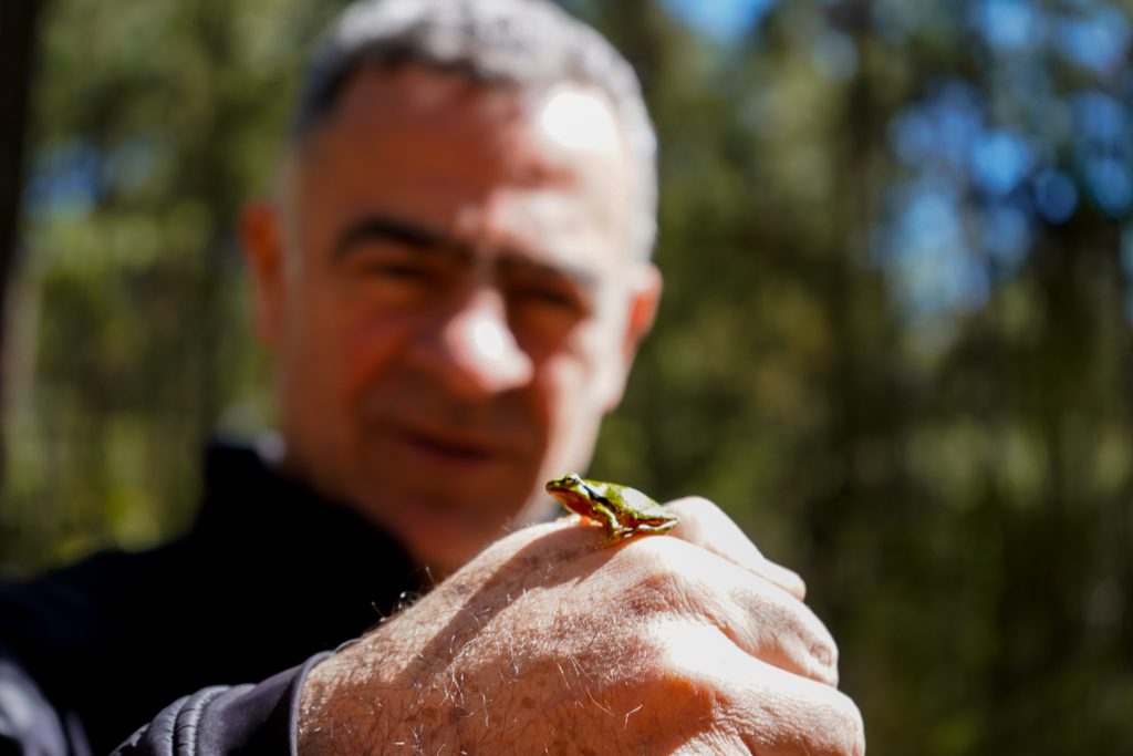 Vista panorámica del Nevado Valle México Vista panorámica del Nevado Valle México