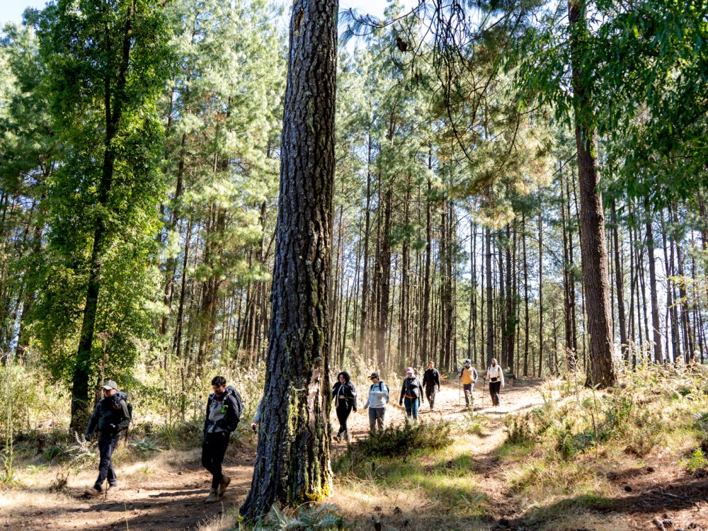 Ecoturismo y fotografía de paisaje en el Nevado Valle Ecoturismo y fotografía de paisaje en el Nevado Valle