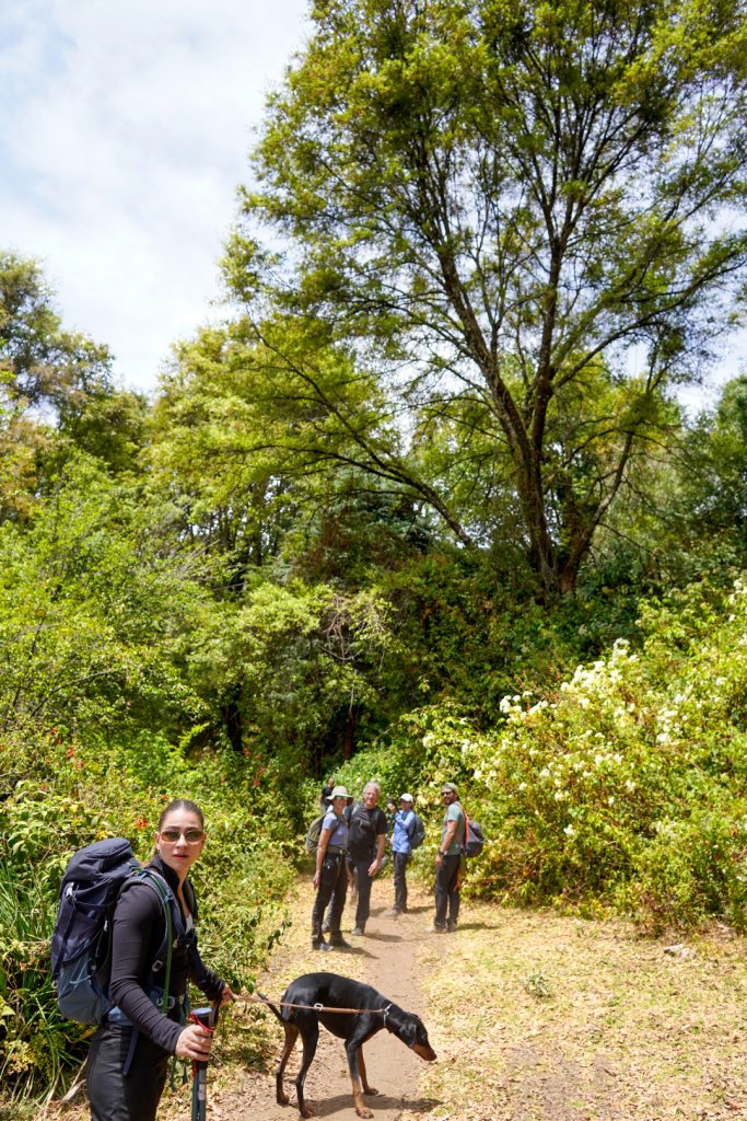 Experiencia de turismo ecológico en el Nevado Experiencia de turismo ecológico en el Nevado