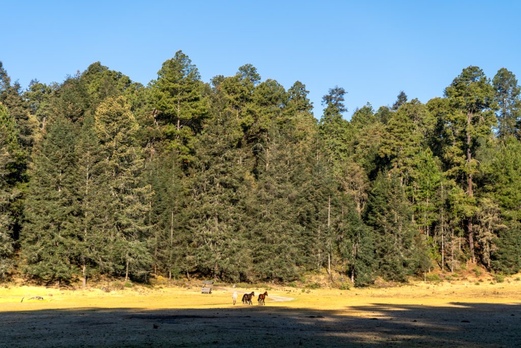 Ecoturismo responsable en México Ecoturismo responsable en México