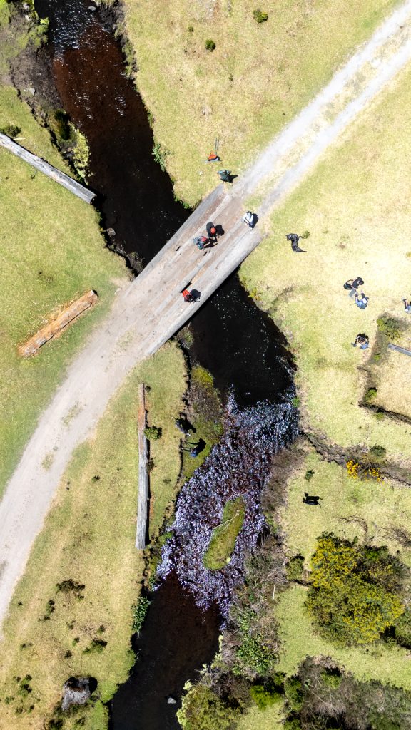 Experiencias verdes en el Nevado México Experiencias verdes en el Nevado México