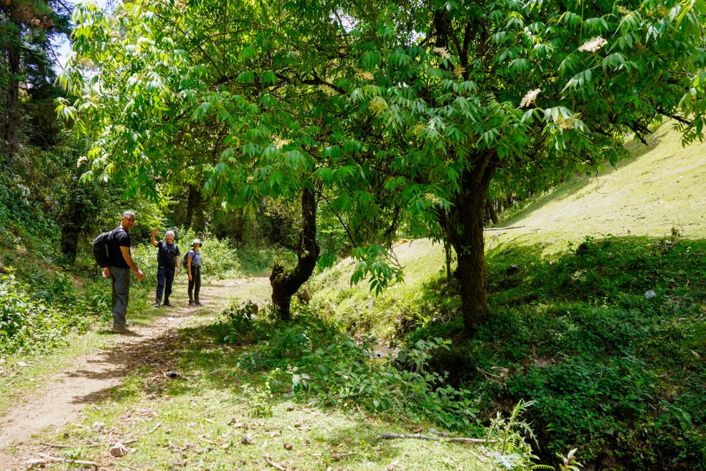 Viajes ecológicos en el centro de México Viajes ecológicos en el centro de México