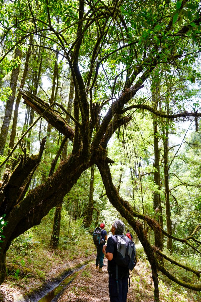 Experiencias sostenibles en el Nevado Experiencias sostenibles en el Nevado