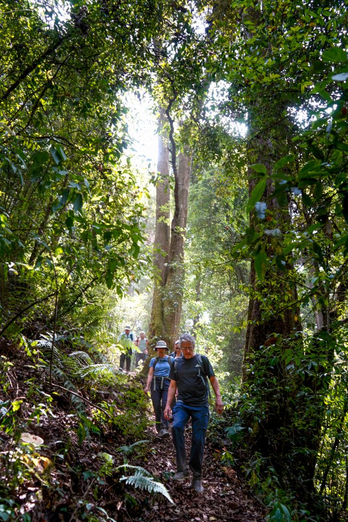 Ecoturismo sustentable en México Ecoturismo sustentable en México