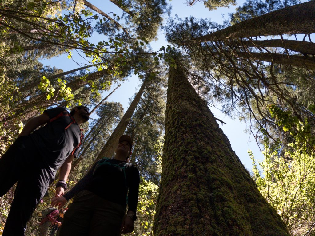 C:DCIM100GOPROGOPR5336.GPR Turismo sustentable en el Nevado Valle