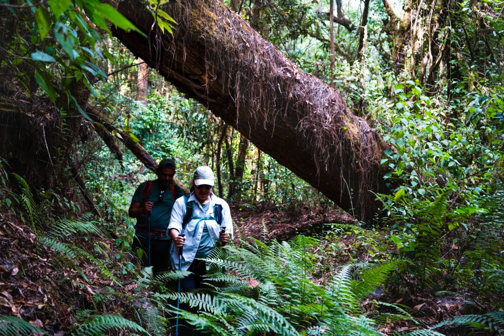 Tours de aventura en el Nevado Tours de aventura en el Nevado