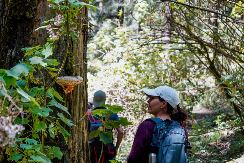 Nevado-Valle (7 de 53) Senderismo en el Nevado Valle