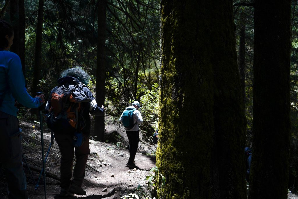 Nevado-Valle (9 de 53) Turismo rural en el Nevado Valle